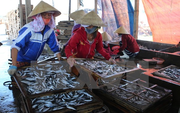 Tin tức trong ng&agrave;y: 30 tấn c&aacute; nục chứa chất cực độc, tuyệt đối cấm