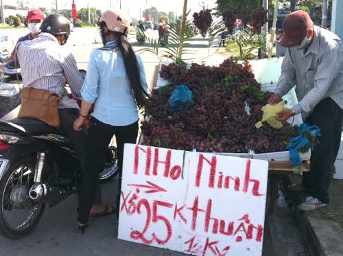 Tin tức trong ng&agrave;y: 30 tấn c&aacute; nục chứa chất cực độc, tuyệt đối cấm