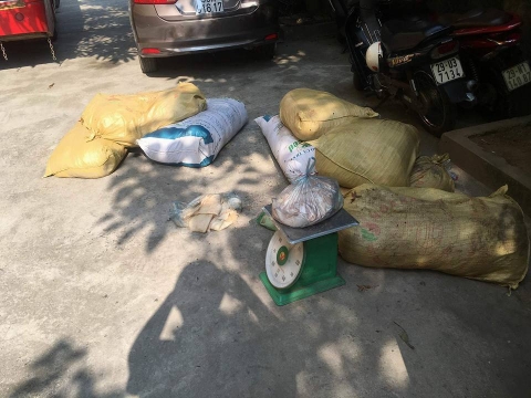 Thực phẩm bẩn nhất mùa hè: Phát hiện cá nục chứa chất kịch độc
