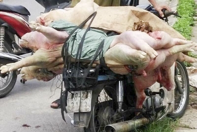 Tin tức trong ng&agrave;y: &lsquo;H&ocirc; biến&rsquo; sợi mỳ th&agrave;nh nộm da lợn