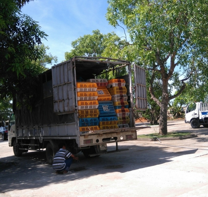 Tin tức trong ng&agrave;y: Thịt thối, thịt bẩn tuồn v&agrave;o Thủ đ&ocirc;