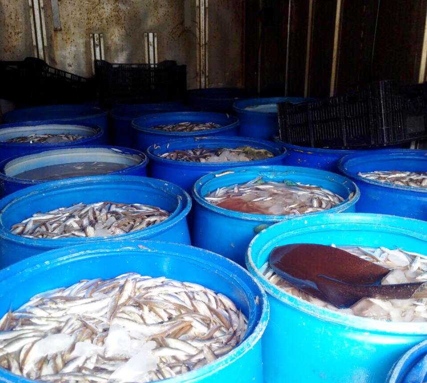 Tin tức trong ngày: Tẩm chất lạ cho riềng xay bán ở chợ