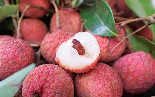 C&aacute;ch chọn vải thiều &lsquo;xịn&rsquo; chuẩn nhất