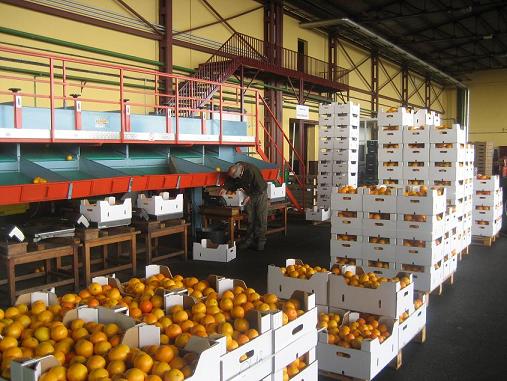 Năng suất chất lượng: C&aacute;c hoạt động sau giao h&agrave;ng trong ISO