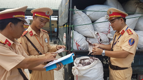 Thực phẩm bẩn nhất mùa hè: Biến thịt lợn thành đặc sản thú rừng