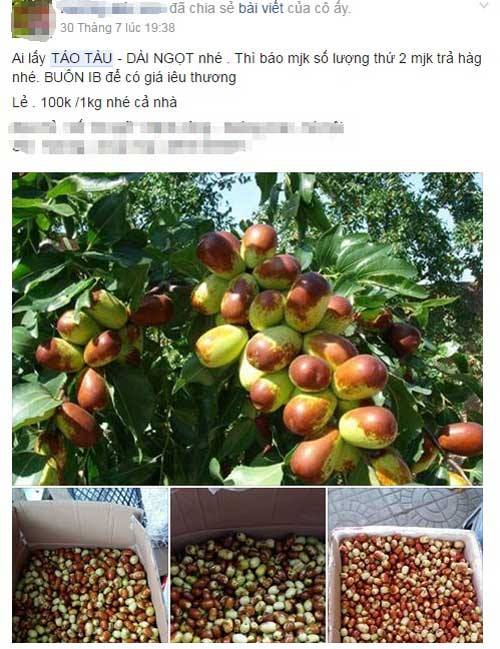 Tin tức trong ngày: Táo tàu giá 100 ngàn tràn lan chợ mạng