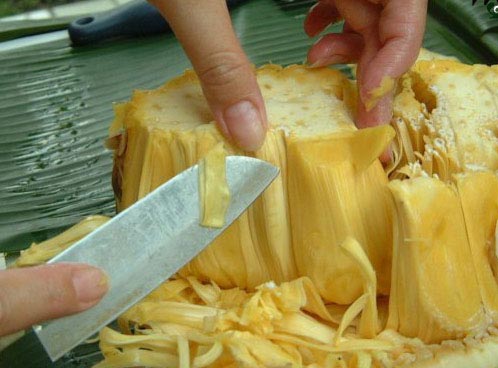 C&aacute;ch ph&acirc;n biệt m&iacute;t ch&iacute;n c&acirc;y v&agrave; m&iacute;t ti&ecirc;m thuốc