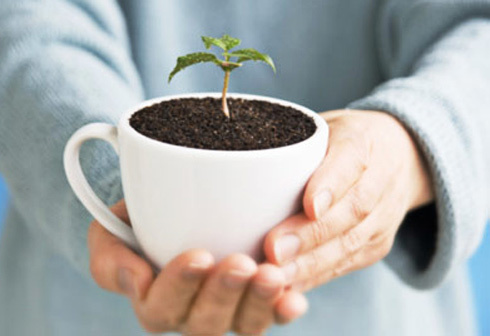 C&agrave; ph&ecirc; v&agrave; những c&ocirc;ng dụng &iacute;t biết