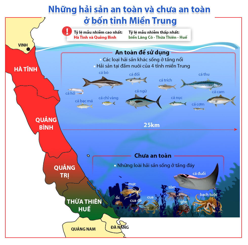 &lsquo;Điểm mặt&rsquo; những loại hải sản chưa an to&agrave;n ở 4 tỉnh miền Trung