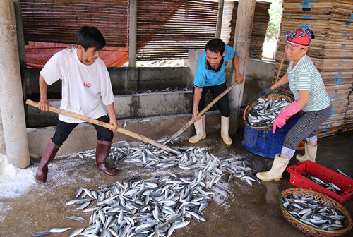 &lsquo;Điểm mặt&rsquo; những loại hải sản chưa an to&agrave;n ở 4 tỉnh miền Trung
