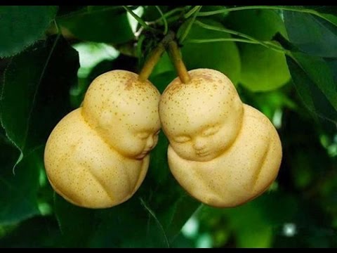 C&aacute;ch chọn qu&agrave; Tết &yacute; nghĩa cho người th&acirc;n