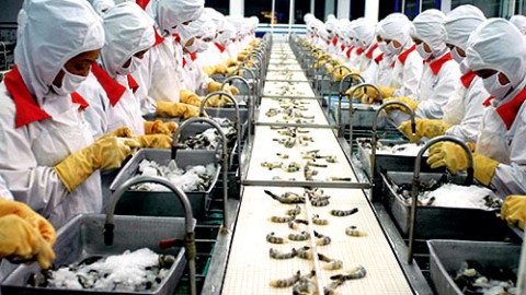Năng suất chất lượng: &Aacute;p dụng c&ocirc;ng cụ HACCP