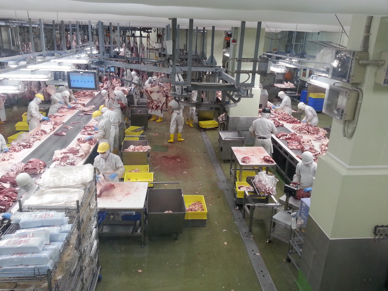 Năng suất chất lượng: Hệ thống quản l&yacute; HACCP v&agrave; ISO 22000