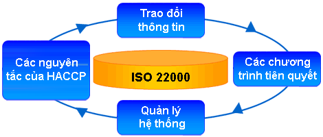 Ti&ecirc;u chuẩn ISO 22000:2005 đưa ra bốn yến tố ch&iacute;nh đối với một hệ thống quản l&yacute; an to&agrave;n 13Win OKVIP Cá cược bóng đá. 