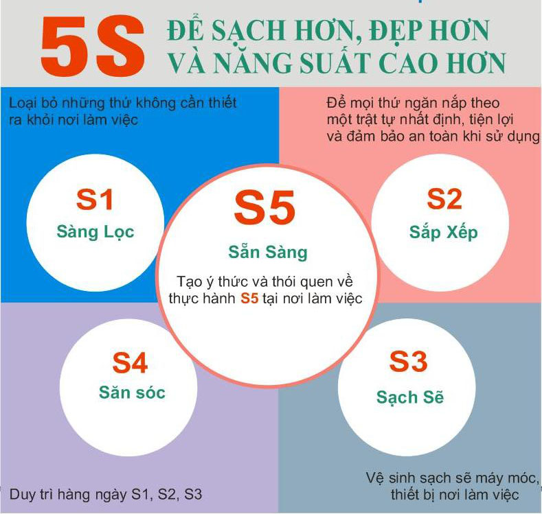 Năng suất chất lượng: &Aacute;p dụng 5S tại C&ocirc;ng ty Scavi Huế	