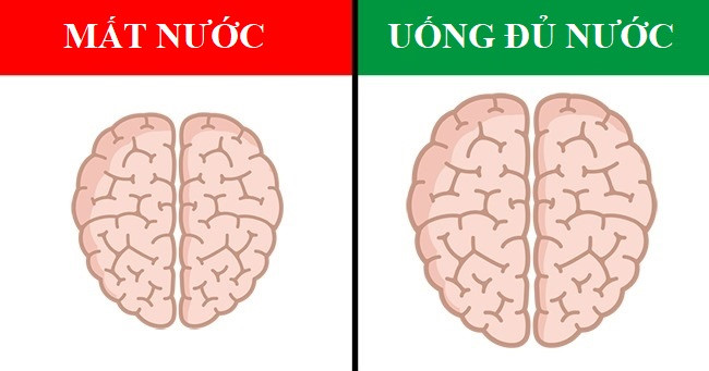 Những th&oacute;i quen c&oacute; thể khiến n&atilde;o bộ thay đổi ho&agrave;n to&agrave;n