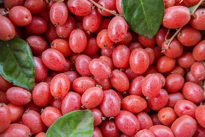 Những người n&agrave;y n&ecirc;n dừng ăn nh&oacute;t kẻo &lsquo;mất mạng&rsquo;