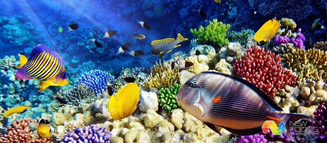 Du lịch Kỳ Co &ndash; Eo Gi&oacute; nhất định phải &lsquo;bỏ t&uacute;i&rsquo; những kinh nghiệm n&agrave;y