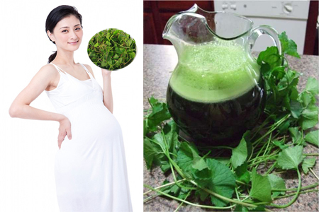 Những người kh&ocirc;ng n&ecirc;n ăn rau m&aacute; kẻo &lsquo;rước họa v&agrave;o th&acirc;n&rsquo;