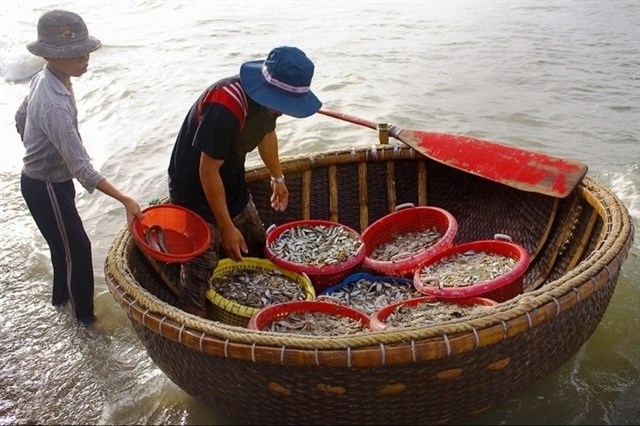 Kinh nghiệm du lịch Vũng T&agrave;u tự t&uacute;c gi&aacute; rẻ năm 2018 từ A đến Z