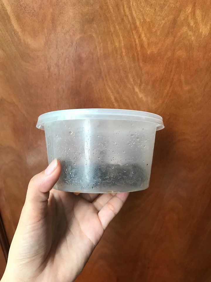 đồ nhựa d&ugrave;ng một lần b&agrave;y b&aacute;n tr&agrave;n lan
