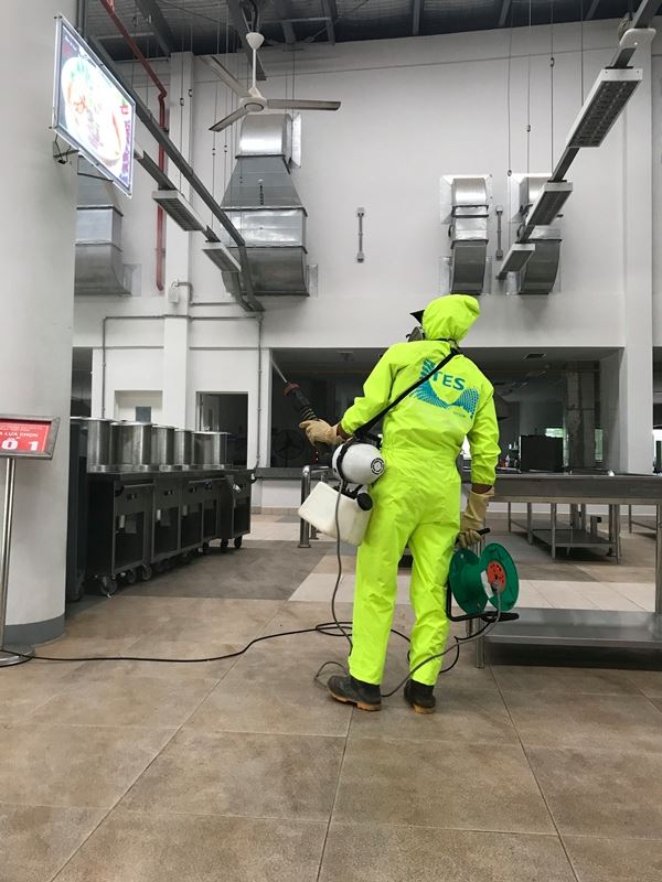 Xuất hiện những biểu hiện n&agrave;y khả năng cao trẻ đ&atilde; bị sốt xuất huyết