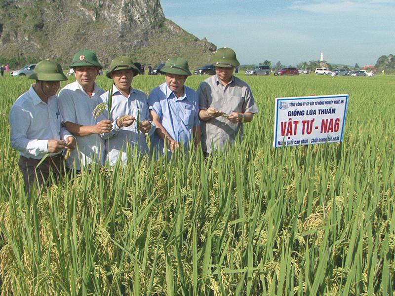 Nghệ An: Ứng dụng tiến bộ khoa học n&acirc;ng cao năng suất chất lượng