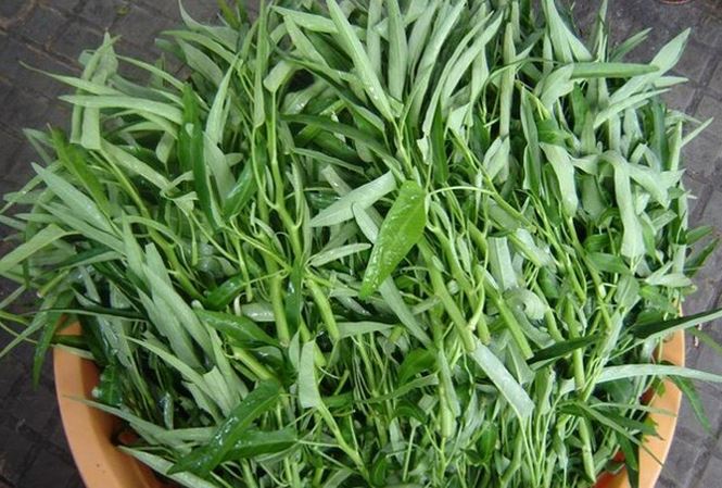 Ăn rau muống m&ugrave;a đ&ocirc;ng: &lsquo;Bỏ t&uacute;i&rsquo; ngay c&aacute;ch chọn v&agrave; sơ chế dưới đ&acirc;y để tr&aacute;nh nhiễm độc