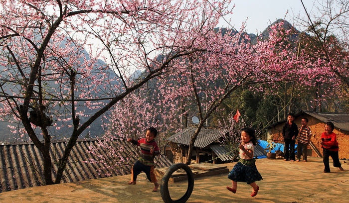 5 địa điểm n&ecirc;n du lịch dịp Tết Kỷ Hợi 2019 