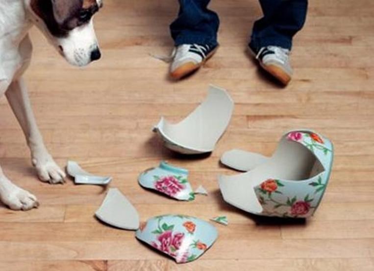 Tết Kỷ Hợi 2019: 7 điều &lsquo;đại kỵ&rsquo; cần tr&aacute;nh trong ng&agrave;y m&ugrave;ng 1