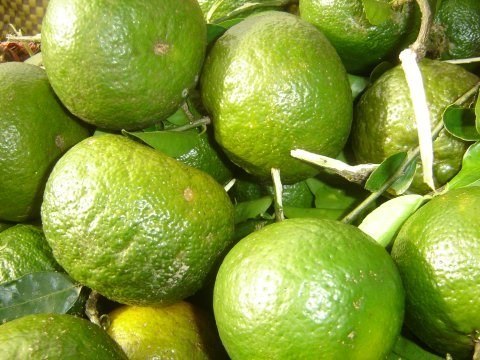 &lsquo;Mẹo&rsquo; chọn cam s&agrave;nh ngọt, ngon, nhiều nước 