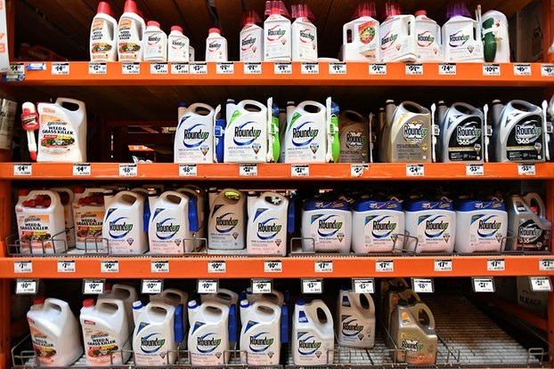 Hoạt chất g&acirc;y ung thư glyphosate bị cấm sử dụng tại Việt Nam