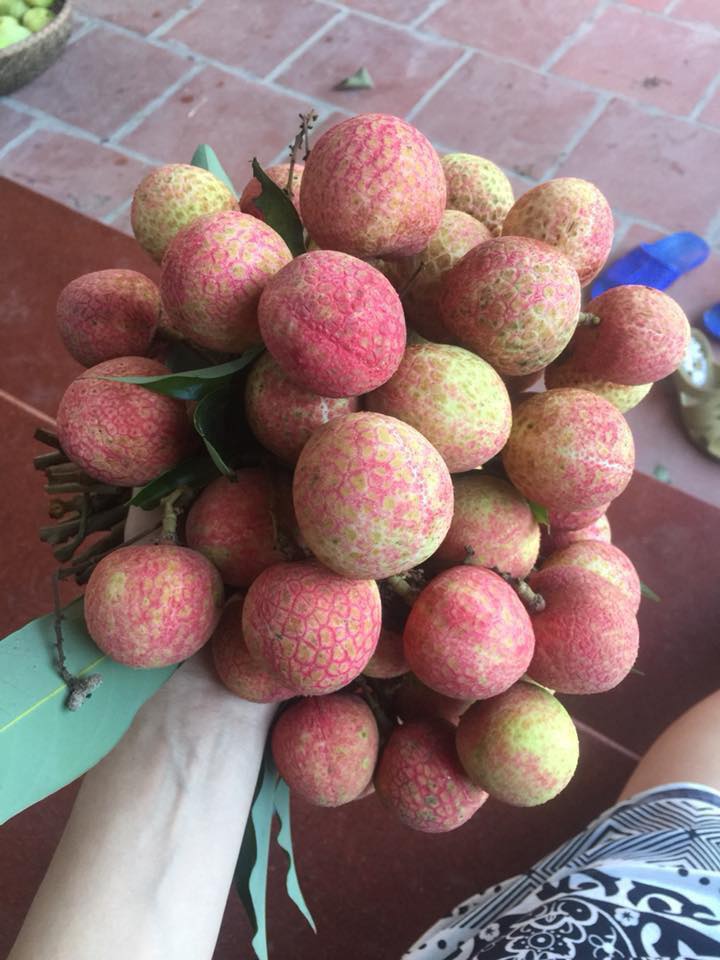 Thường xuy&ecirc;n ăn vải cần &lsquo;bỏ t&uacute;i&rsquo; ngay mẹo chọn vải đơn giản n&agrave;y