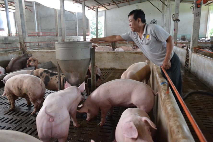 &lsquo;Bỏ t&uacute;i&rsquo; những nguy&ecirc;n tắc tr&aacute;nh ngộ độc rượu trong dịp Tết Canh T&yacute; 2020