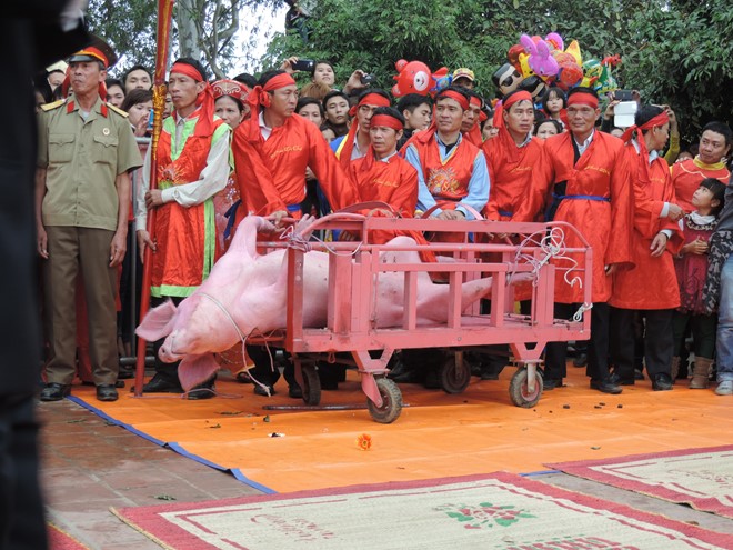 Nhiều chuy&ecirc;n gia văn h&oacute;a đ&atilde; l&ecirc;n tiếng phản đối Lễ hội ch&eacute;m lợn tại th&ocirc;n N&eacute;m Thượng.