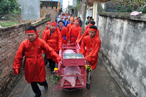 Lễ hội ch&eacute;m lợn được tổ chức v&agrave;o ng&agrave;y mồng 6 tết &acirc;m lịch h&agrave;ng năm tại  Bắc Ninh