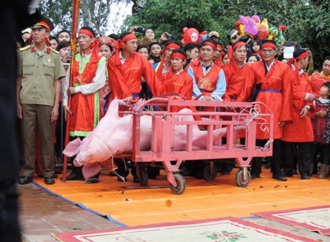 Khung cảnh s&acirc;n đ&igrave;nh l&agrave;ng n&eacute;m thượng trước trong v&agrave; sau lễ ch&eacute;m lợn rất đ&ocirc;ng
