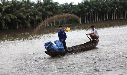 Hiện việc sử dụng chất cấm, kh&aacute;ng sinh trong chăn nu&ocirc;i sai mục đ&iacute;ch vẫn tồn tại