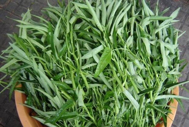  N&ecirc;n rửa sạch rau muống trước khi chế biến