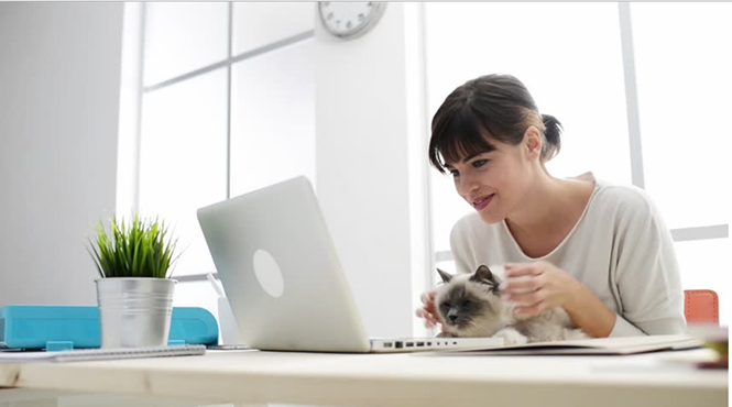 Nu&ocirc;i m&egrave;o dễ nhiễm khuẩn g&acirc;y tử vong cho 13Win 19.com nhiều ưu đãi hấp dẫn.