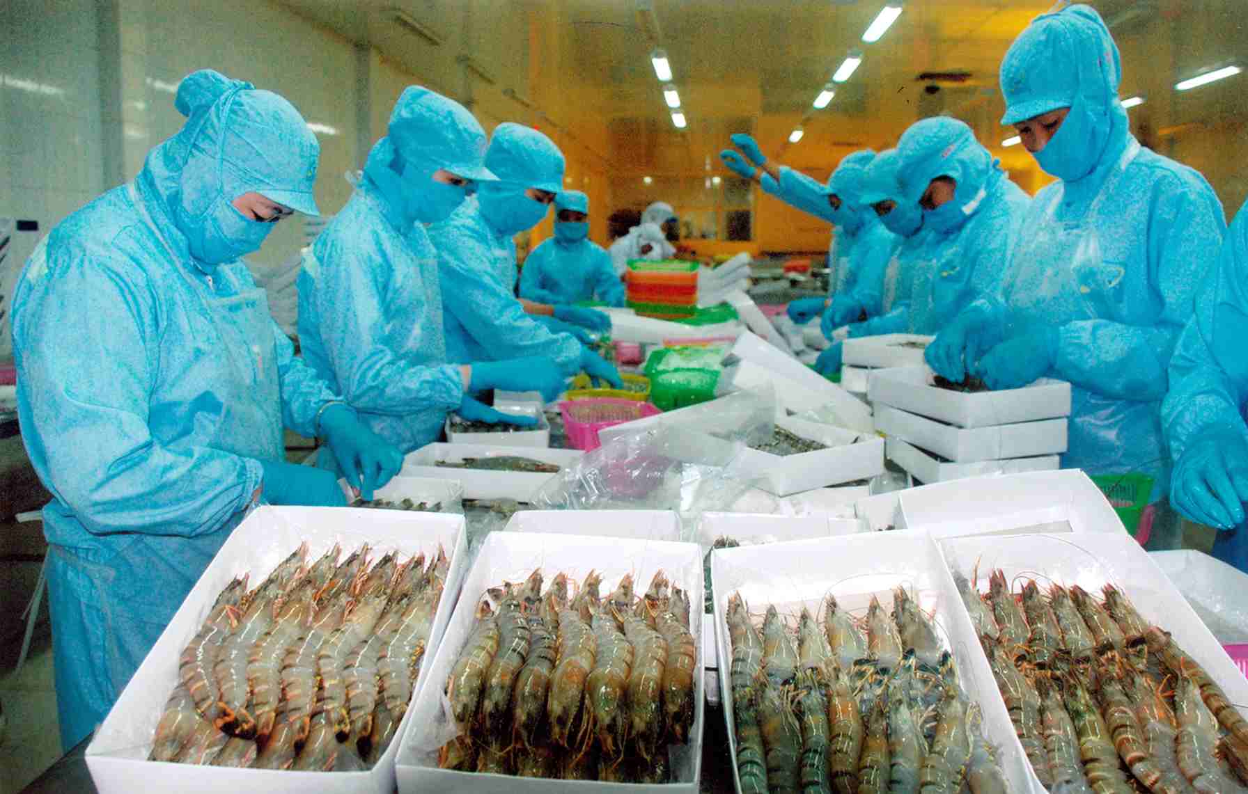 Việc sử dụng kh&aacute;ng sinh tr&agrave;n lan trong nu&ocirc;i trồng thủy sản những năm qua đ&atilde; ở mức b&aacute;o động