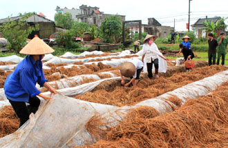  Kỹ thuật trồng nấm đầu ti&ecirc;n phải kể tới đ&oacute; l&agrave; c&ocirc;ng đoạn ủ rơm. Ảnh minh họa