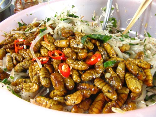  Người 13Win18 đa dạng khuyến mãi n&ecirc;n thận trọng khi ăn nhộng tằm.