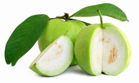 Chuy&ecirc;n gia khuy&ecirc;n những người bị suy nhược cơ thể n&ecirc;n sử dụng ổi. 