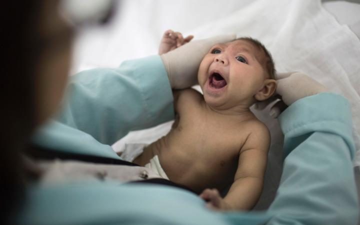 Virus Zika c&oacute; thể l&agrave;m nam giới v&ocirc; sinh. 