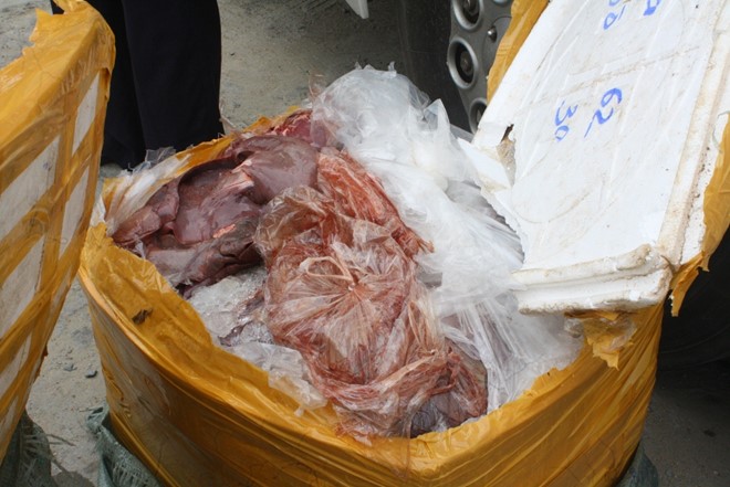 Số nội tạng động vật bị thu giữ. 