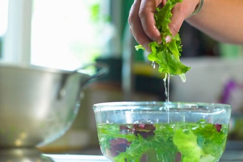 Rau quả khi mua về cần phải được xử l&yacute; kỹ trước khi chế biến.