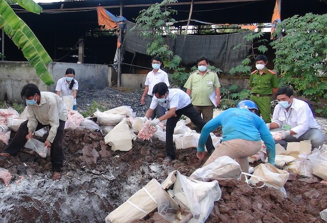  Lực lượng chức năng tiến h&agrave;nh ti&ecirc;u hủy. 