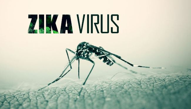 Hầu khắp c&aacute;c quận, huyện tại TP HCM đ&atilde; bị virus Zika tấn c&ocirc;ng. 