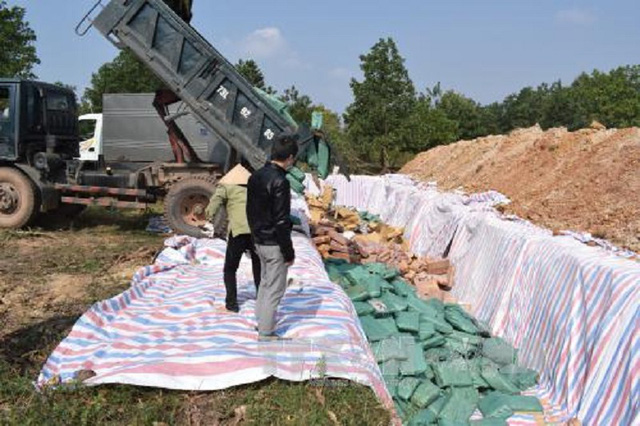 Lực lượng chức năng tiến h&agrave;nh ti&ecirc;u hủy hải sản nhiễm độc. 